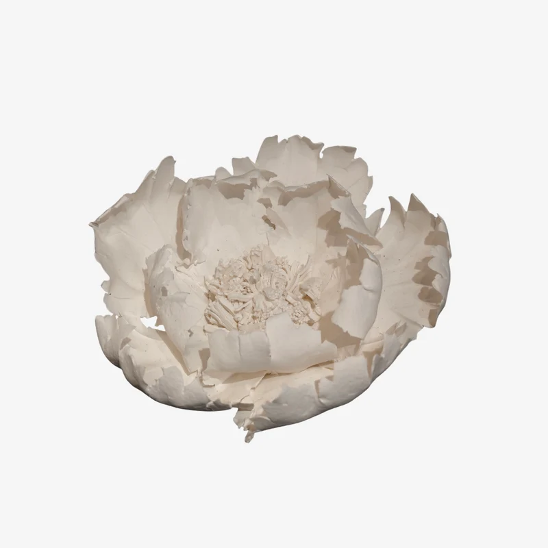 Ambiente Floral White Resin Matte Sculptural Vase 14 × 14 × 6 cm
