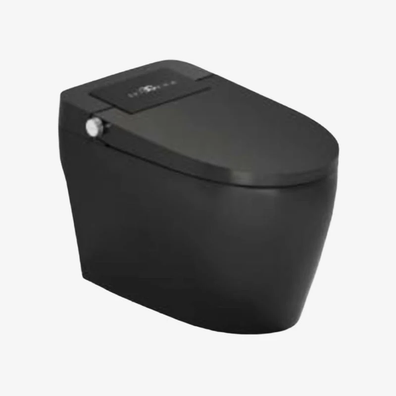 CLEA Tokyo Matt Black ABS Rectangular Smart WC with S-Trap Flush 375 x 450 mm