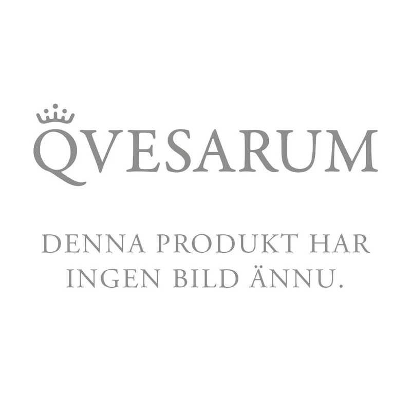 Förlängningsstång till duschset