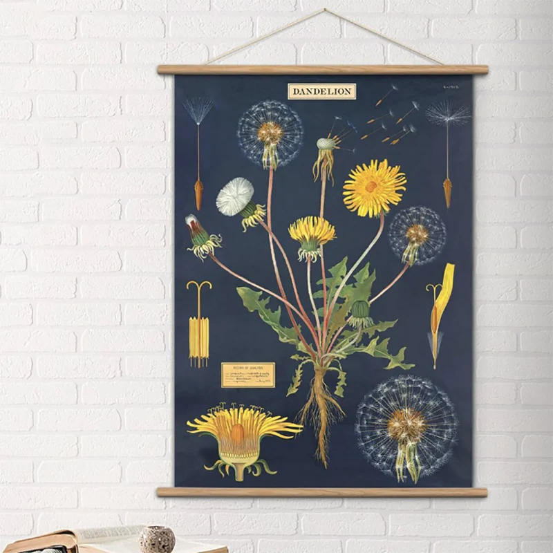 Vintage poster upphängning i teak