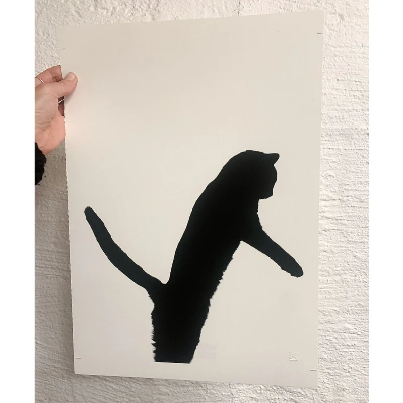 Katten Elsa
