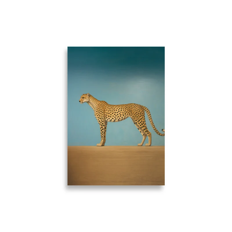 Life in Desert | Veska