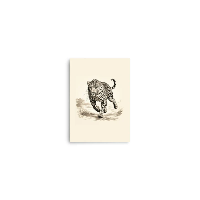 Jaguar 2 | Veska