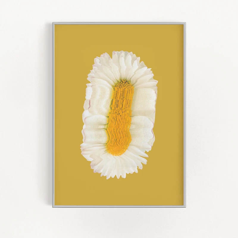 Lazy Daisy | Veska