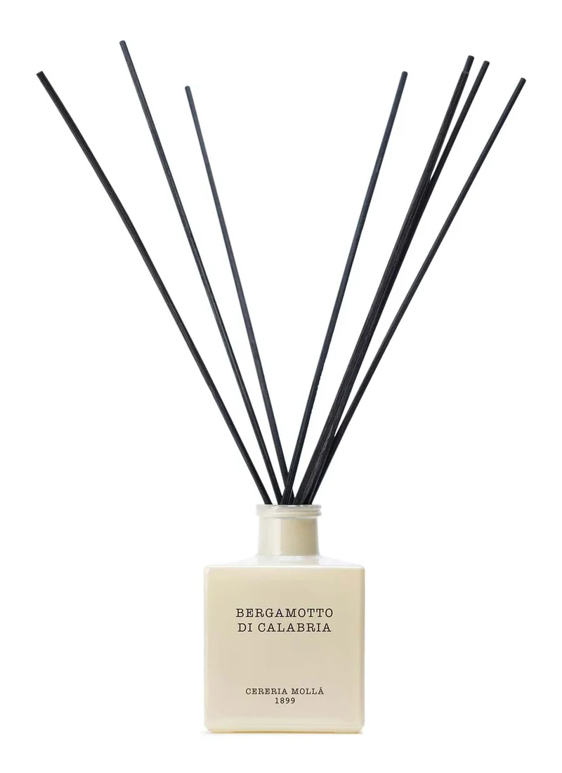 Premium Diffuser 100ml