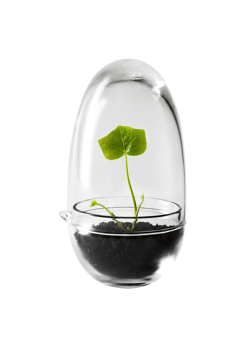 Grow Greenhouse