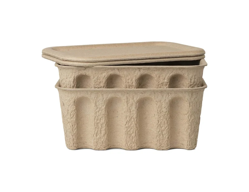Paper Pulp Box Set of 2