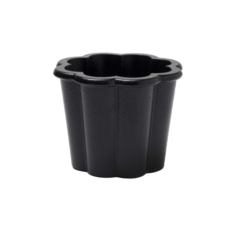 Fjällsippa Kruka Svart