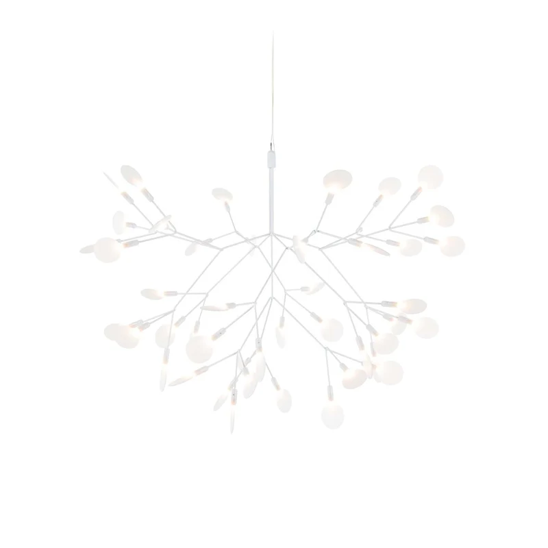 Heracleum III Small