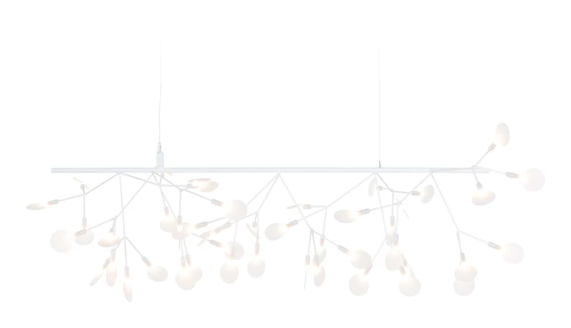 Heracleum III Endless