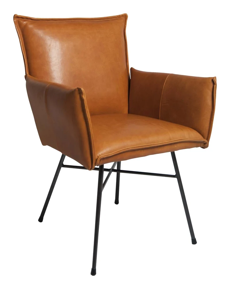 Sanne Chair With Arm