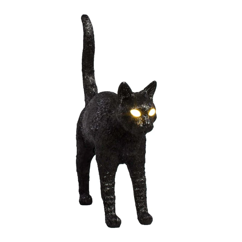 Jobby The Cat