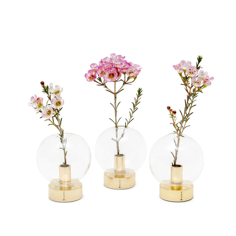 Orbis 3 Pack