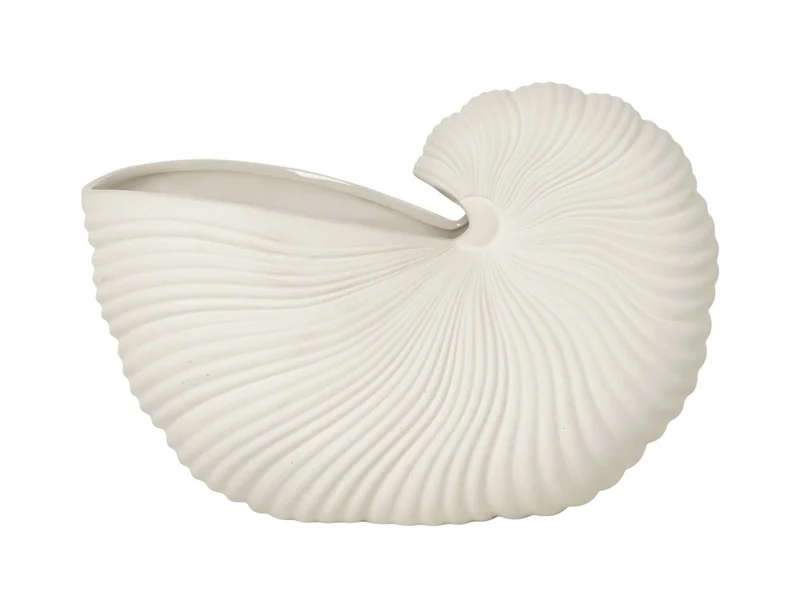 Shell Pot