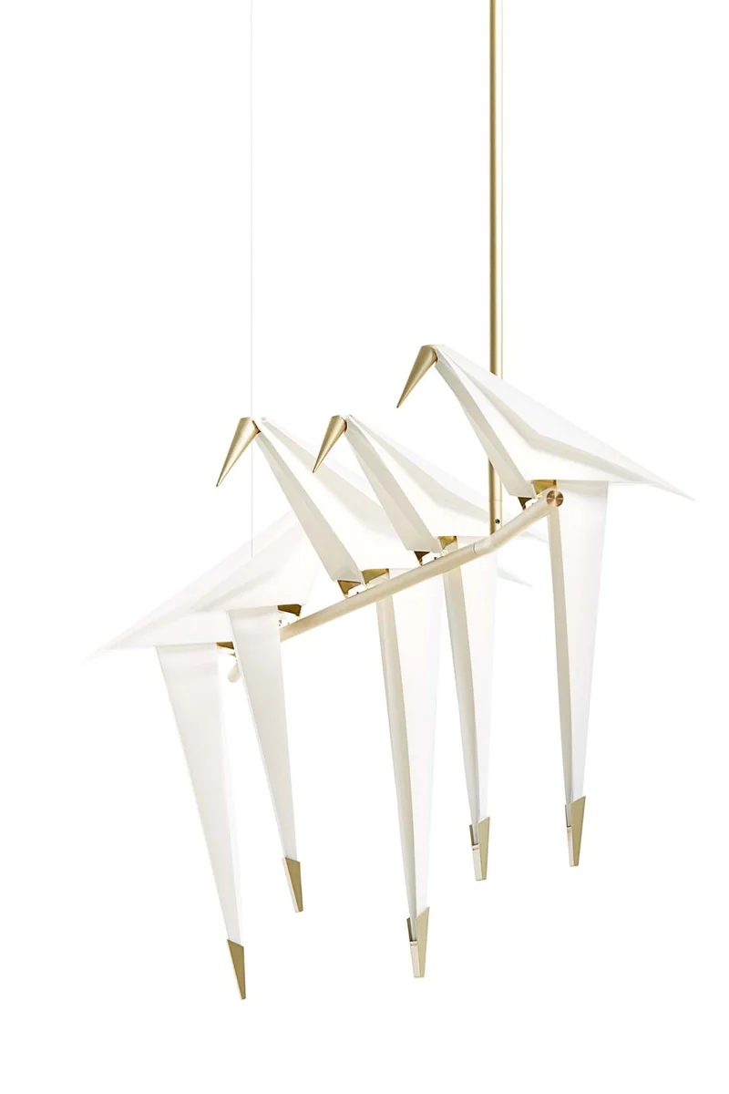 Perch Light Branch